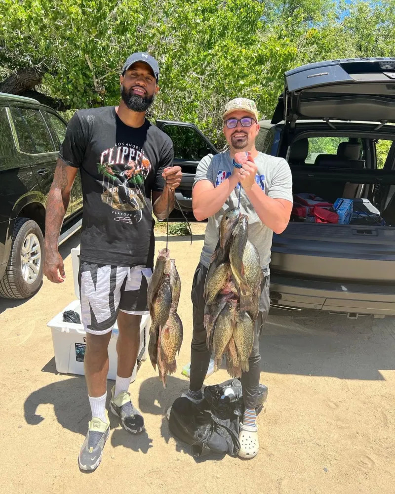 主题概述 主题概述