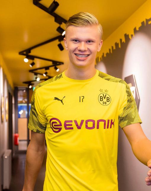 的框架下 的框架下